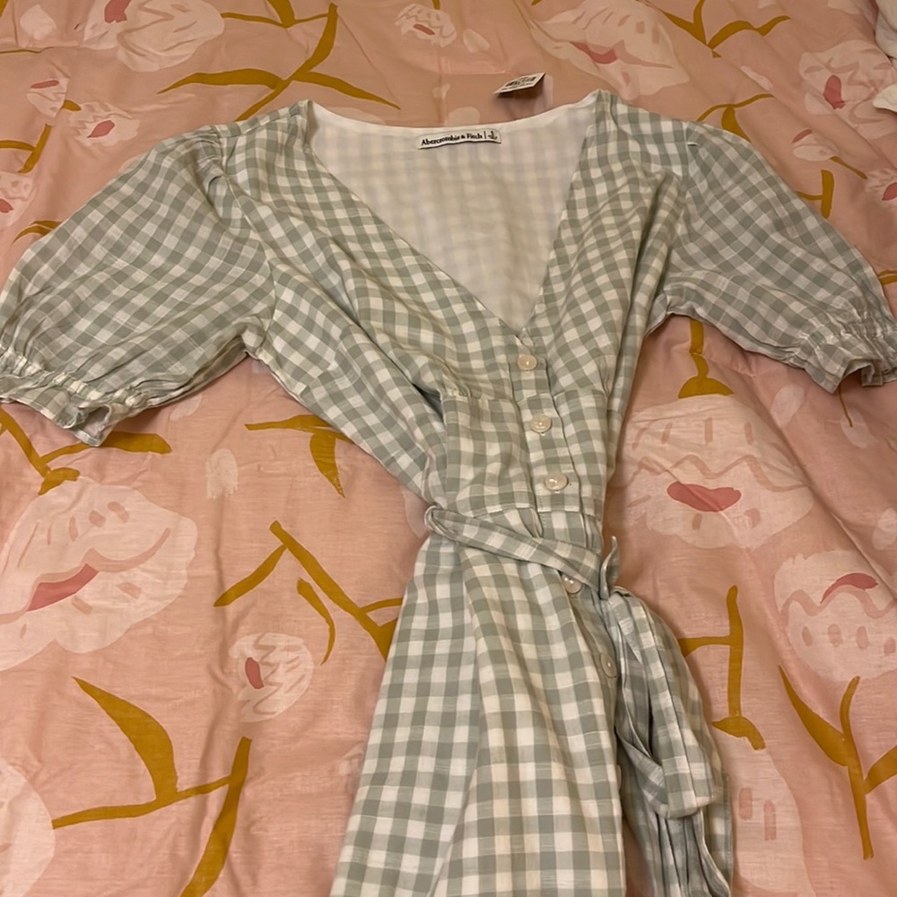 Abercrombie gingham dress nwt